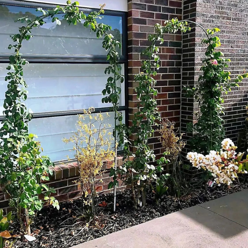 Garden Arch 16 x 80 x 160