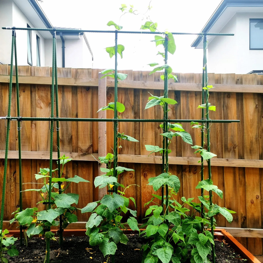 16x240 Garden Stakes