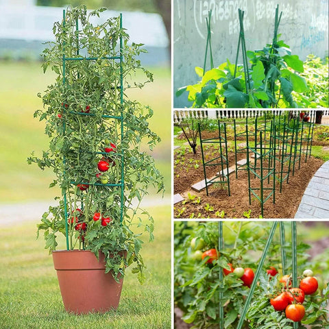 Garden Stakes & Acc's Framework