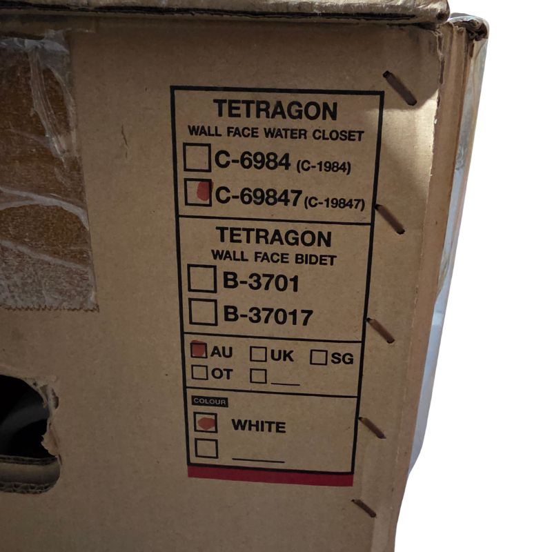 COTTO Tetragon Wall Face Toilet Suite | White | Modern Concealed Trap Toilet