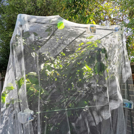 Bird Netting 4 x 4