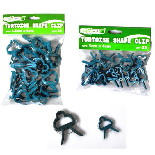 Turtoise Clip