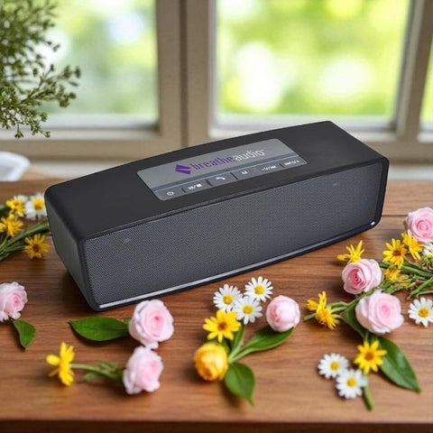 Bluetooth Speaker